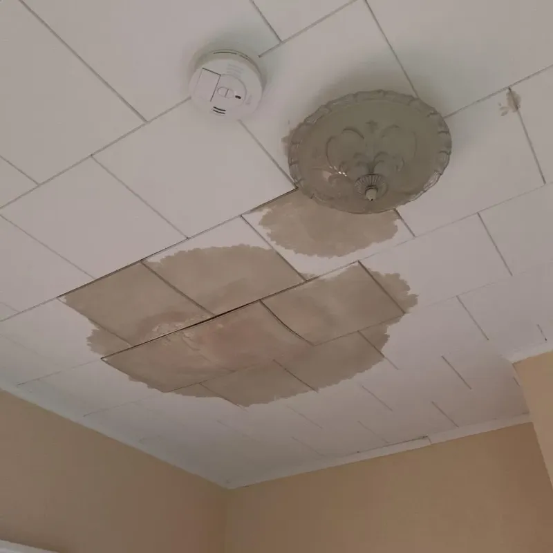 Ceiling Water Damage Repair in Rawls Springs, MS