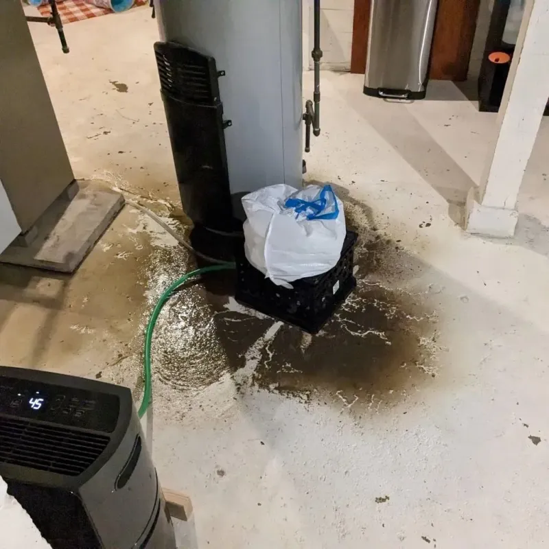 Sewage Backup Cleanup Service in Rawls Springs, MS